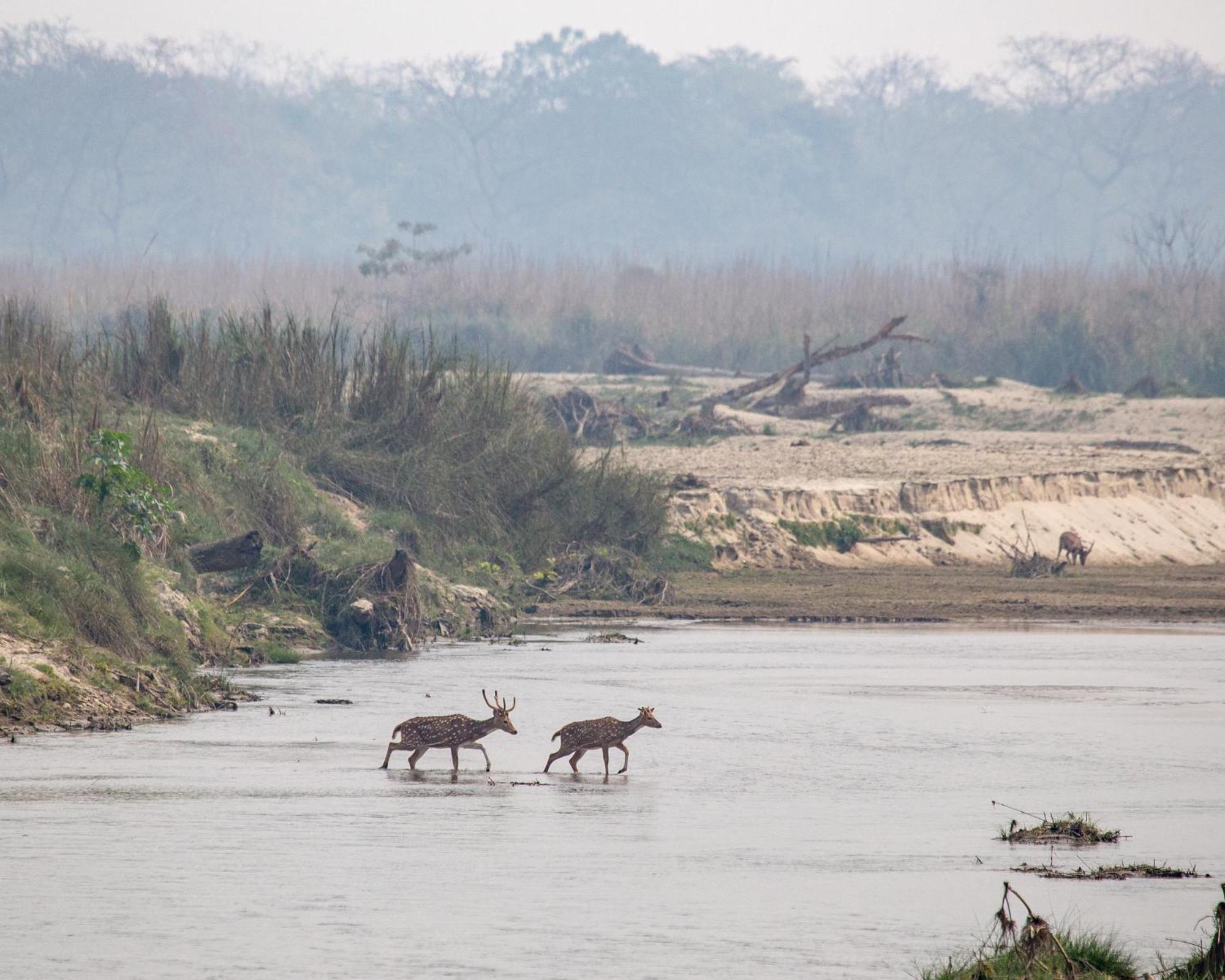 Sanctuary - Chitwan National Park , Nepal Hotel Exterior photo