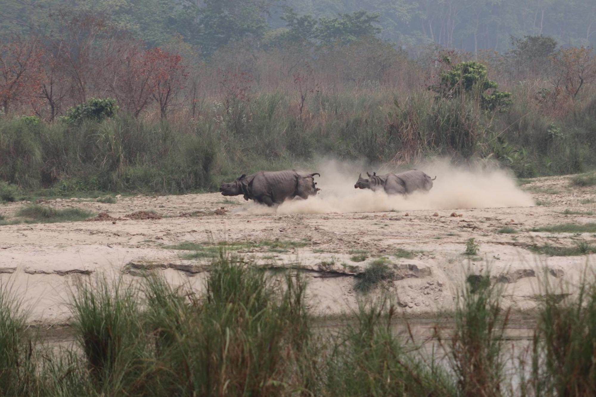 Sanctuary - Chitwan National Park , Nepal Hotel Exterior photo