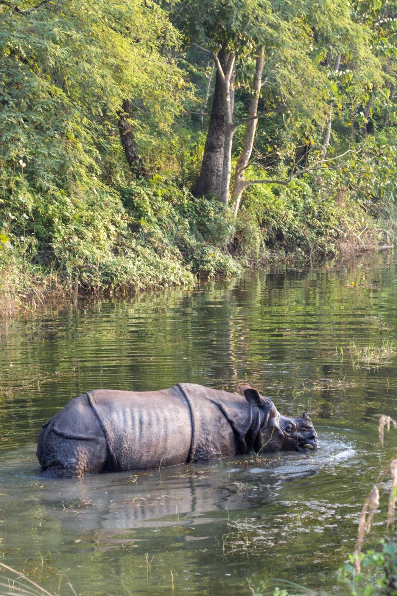 Sanctuary - Chitwan National Park , Nepal Hotel Exterior photo